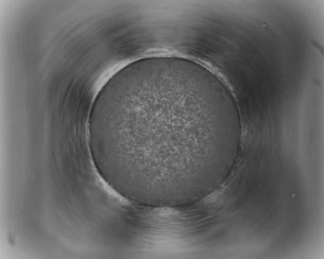 X0000100411239200806131029