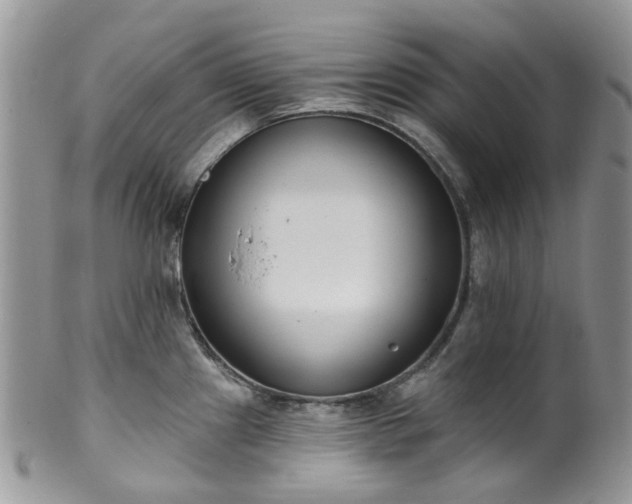 X0000100411241200806131029