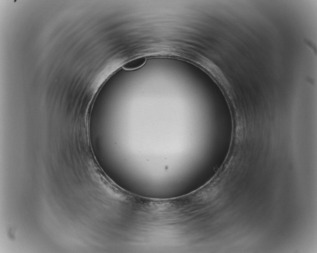 X0000100411242200806131029