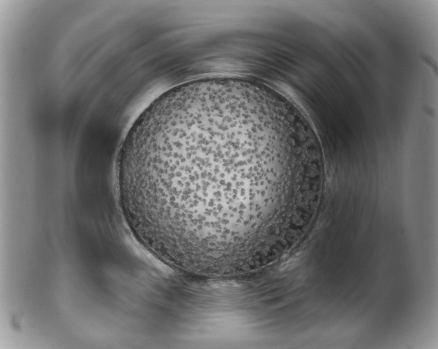 X0000100411243200806131029