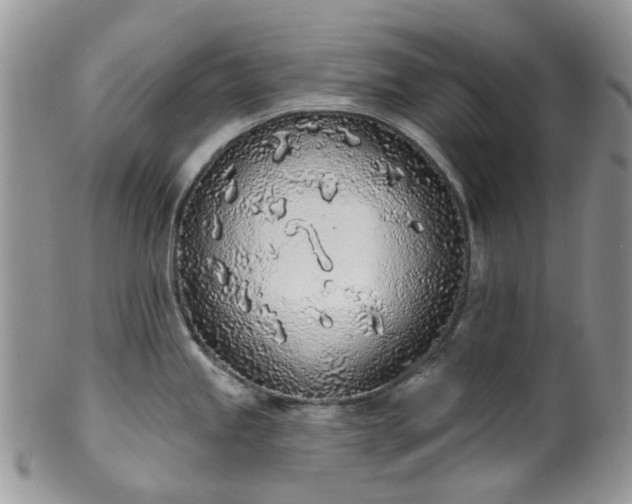 X0000100411245200806131029