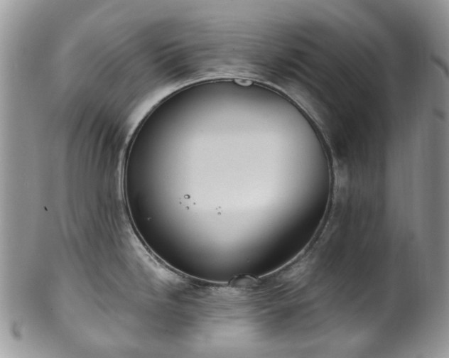 X0000100411246200806131029