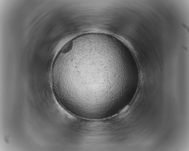 X0000100411247200806131029