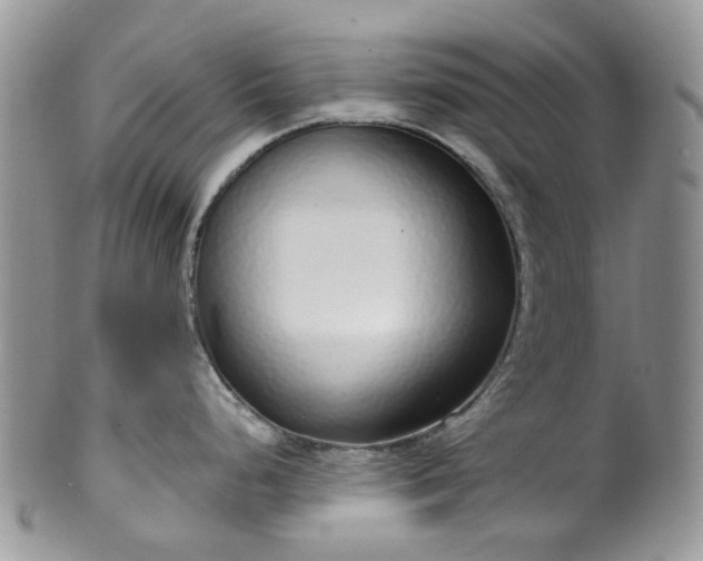 X0000100411248200806131029