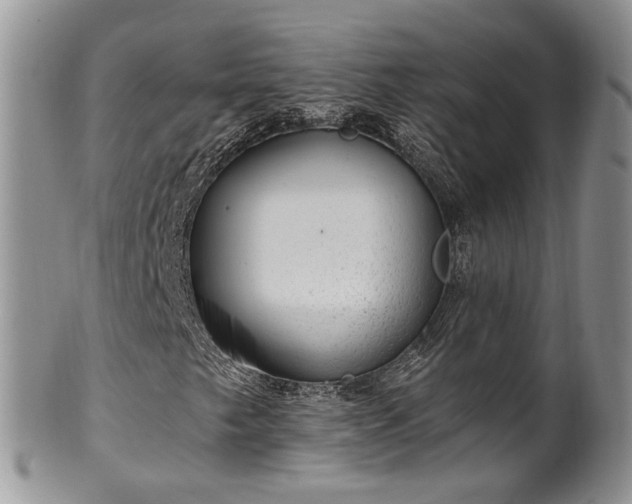 X0000100411249200806131028