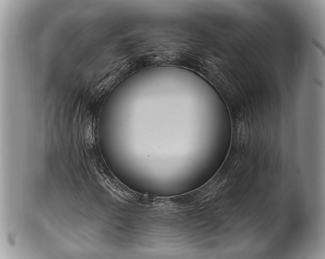 X0000100411250200806131028