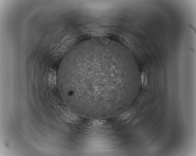 X0000100411251200806131028