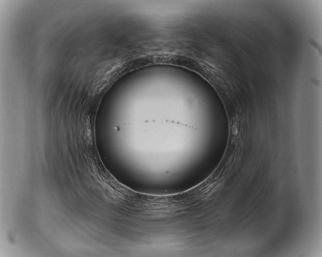 X0000100411252200806131028