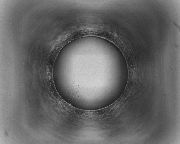 X0000100411253200806131028