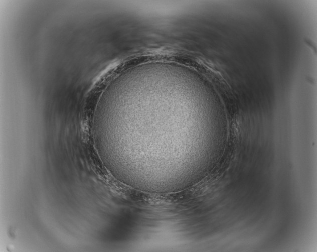 X0000100411254200806131028