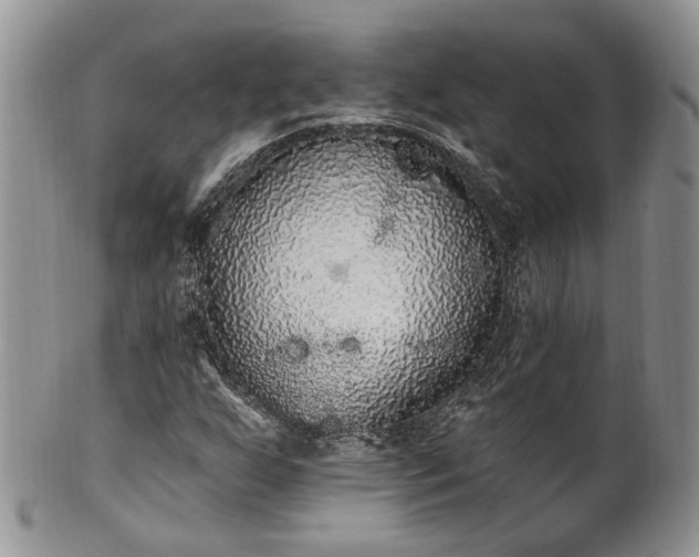 X0000100411255200806131028