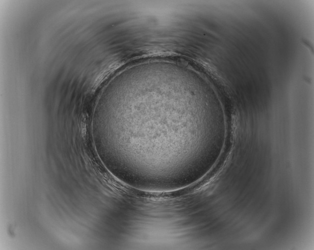 X0000100411257200806131028