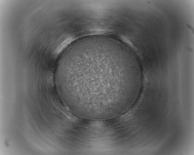 X0000100411259200806131028