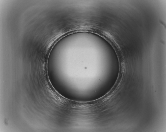 X0000100411260200806131028