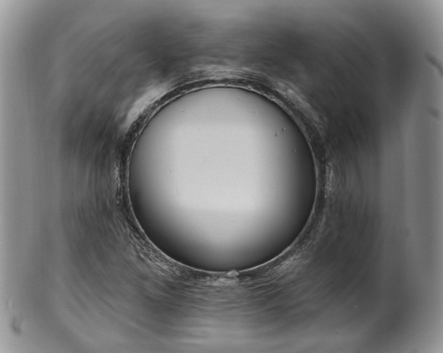 X0000100411261200806131028