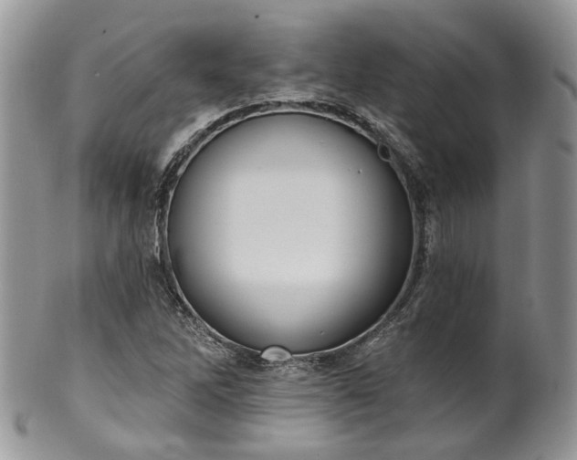 X0000100411262200806131028