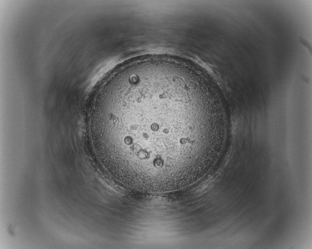 X0000100411263200806131028