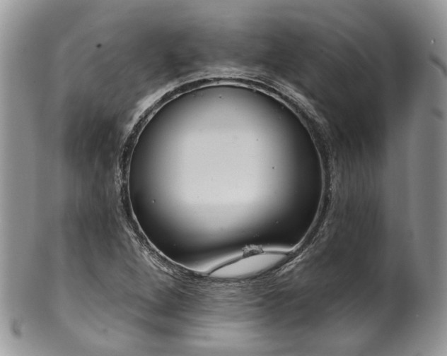 X0000100411264200806131028