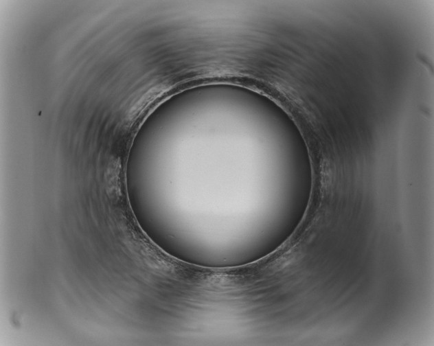 X0000100411265200806131028