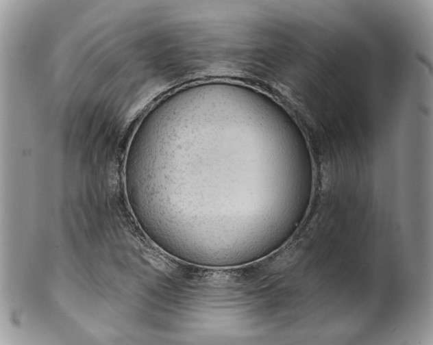 X0000100411266200806131028