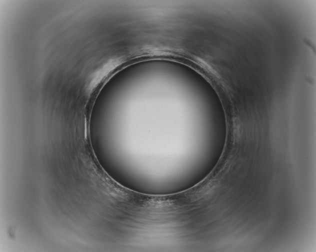 X0000100411269200806131028