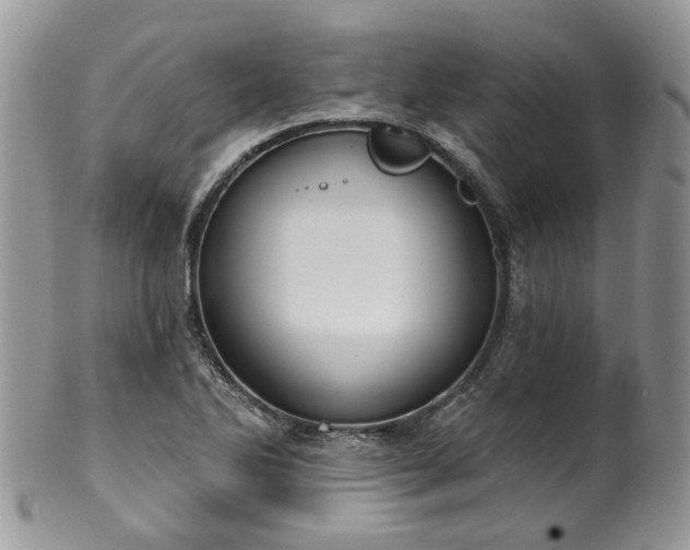 X0000100411270200806131028