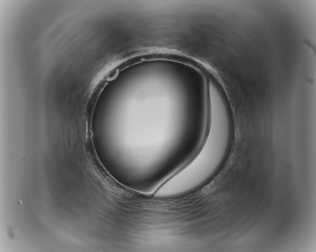 X0000100411271200806131028