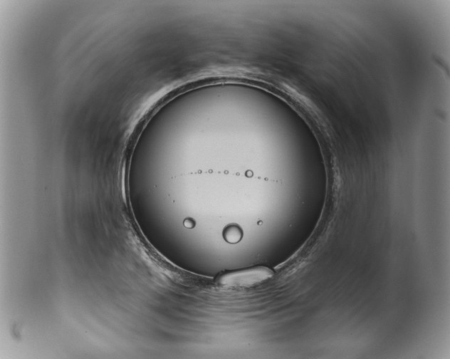 X0000100411272200806131028