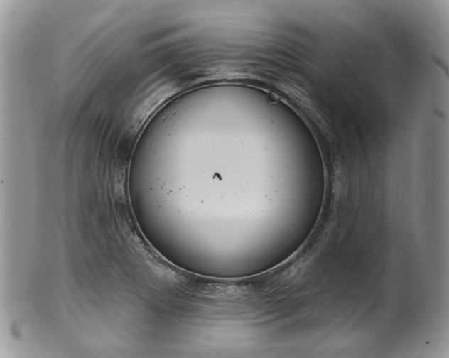 X0000100411273200806131028