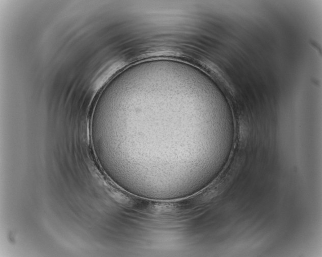 X0000100411274200806131028