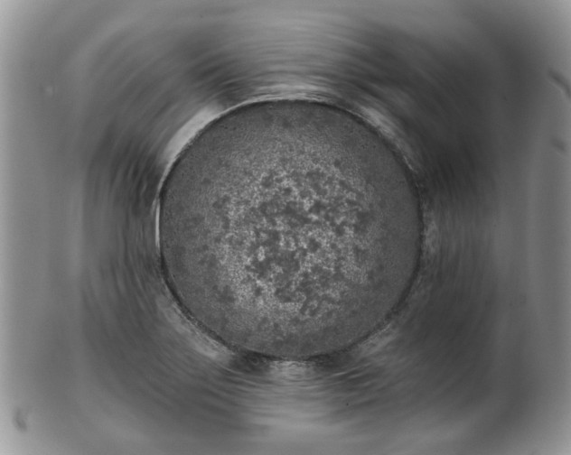 X0000100411275200806131028