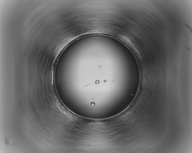 X0000100411276200806131028