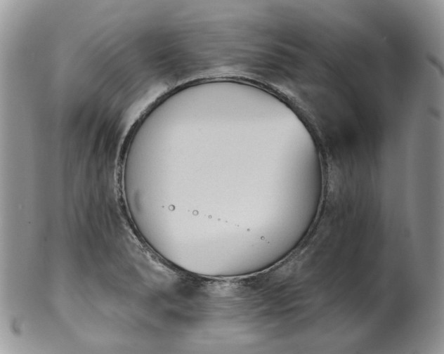 X0000100411278200806131028