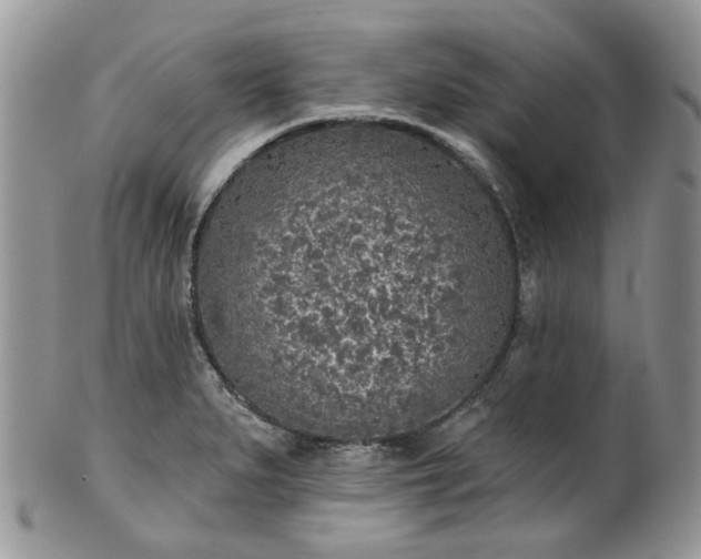 X0000100411279200806131028