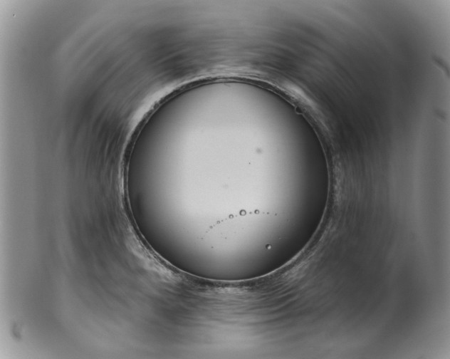 X0000100411280200806131028