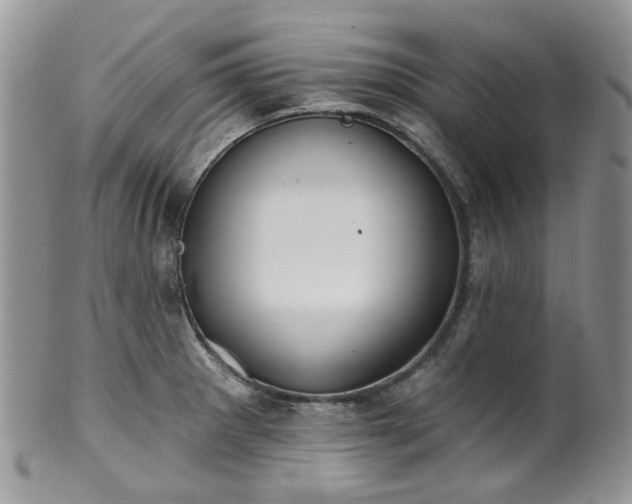 X0000100411281200806131028