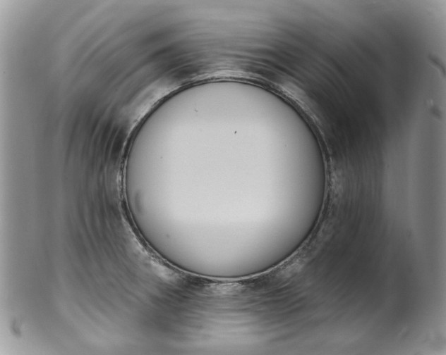 X0000100411282200806131028