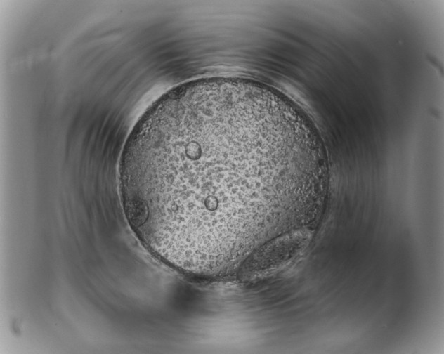 X0000100411283200806131028