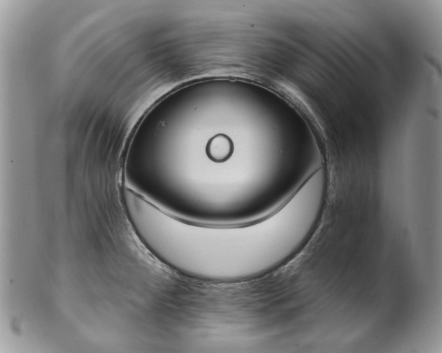 X0000100411284200806131028