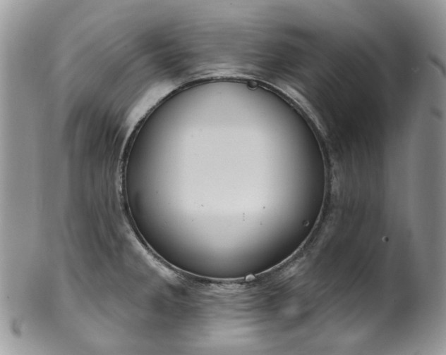 X0000100411285200806131028