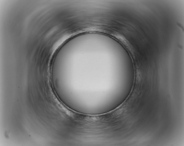 X0000100411286200806131028