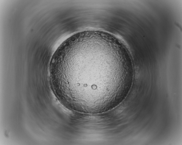 X0000100411287200806131028