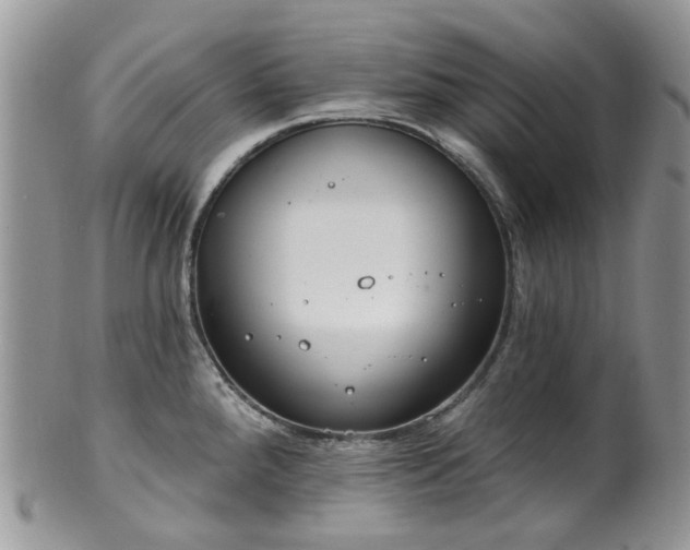 X0000100411288200806131028