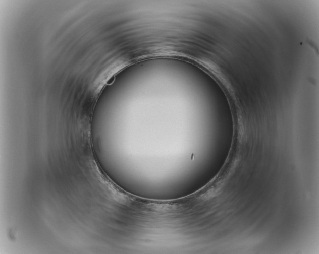 X0000100411289200806131028