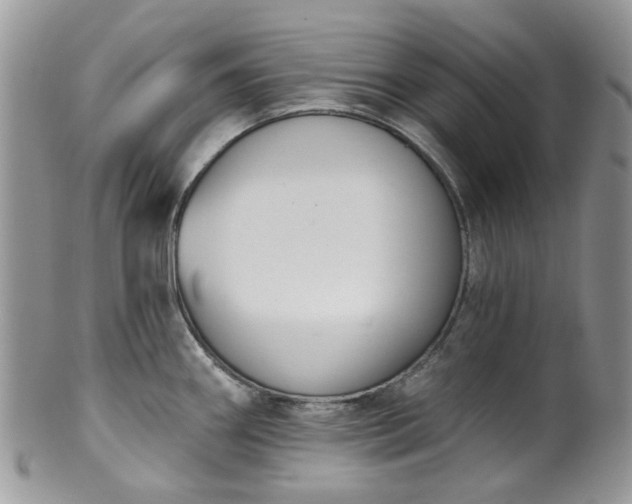 X0000100411290200806131028