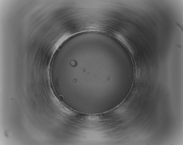 X0000100411291200806131028