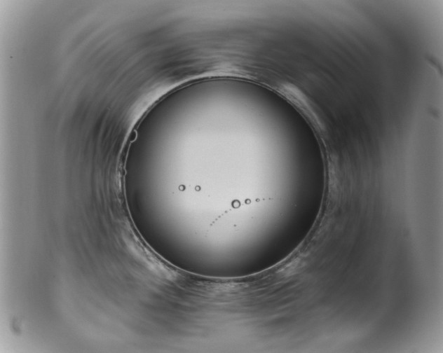 X0000100411292200806131028