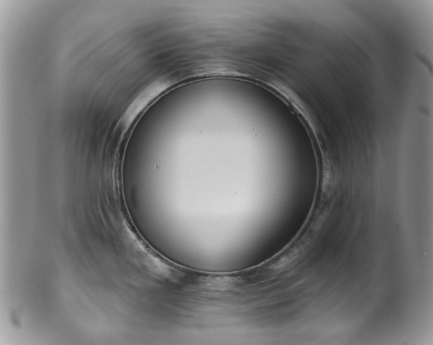 X0000100411293200806131028