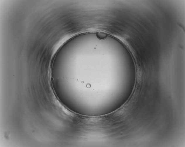 X0000100411294200806131028