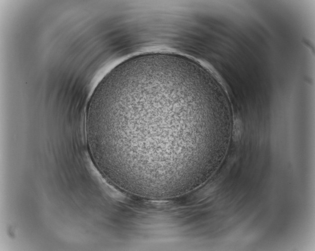 X0000100411295200806131028